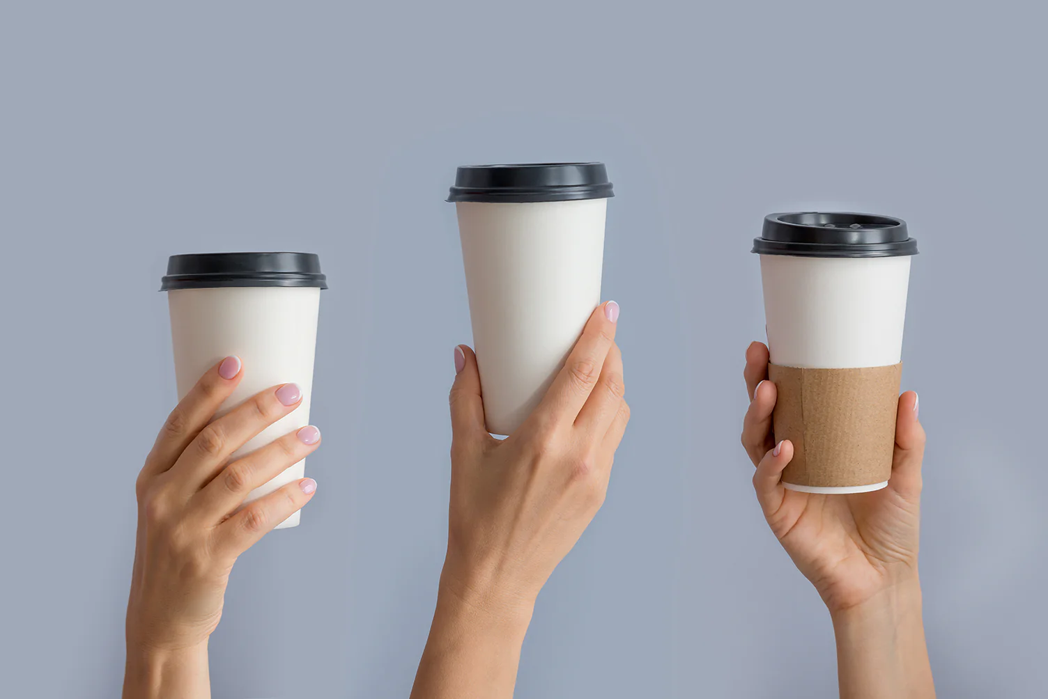 Coffee Paper Cups